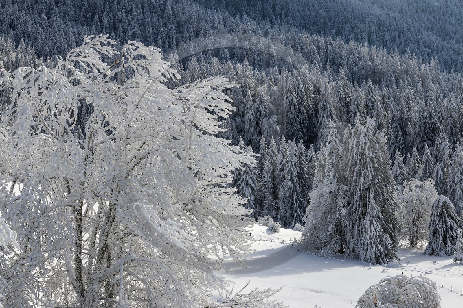 ENS de l'Isère, Les Ecouges