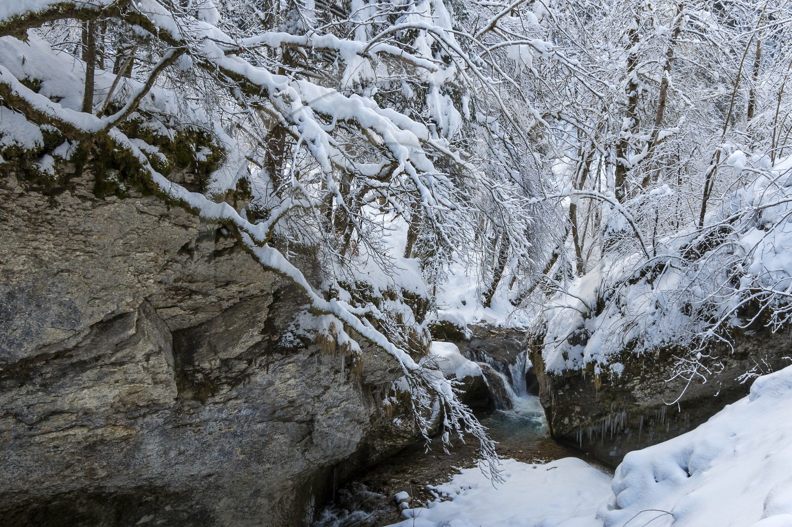 ENS de l'Isère, Les Ecouges, rivière la Drevenne