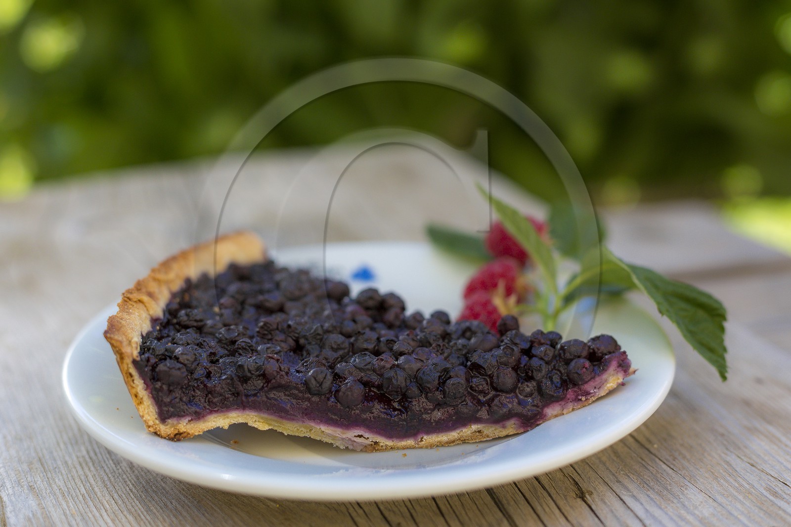 Refuge de la Lavey, Caroline Vincent, gardienne
