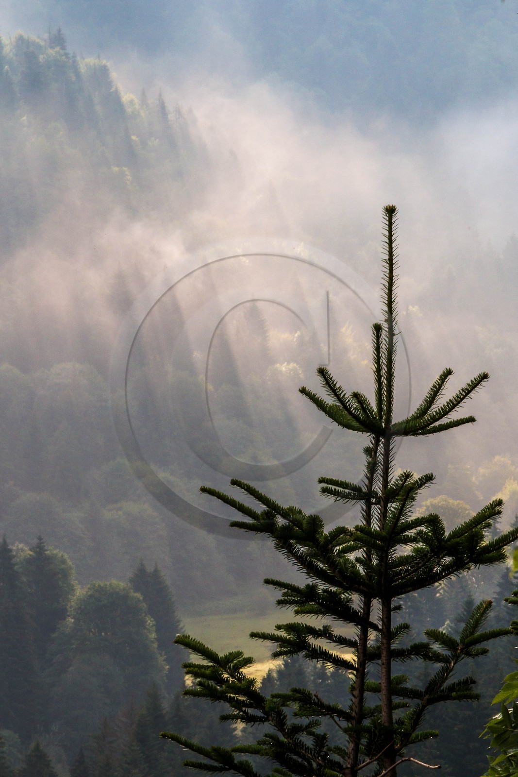 ENS de l'Isère, Les Ecouges