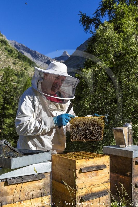 Patrick Challet apiculteur