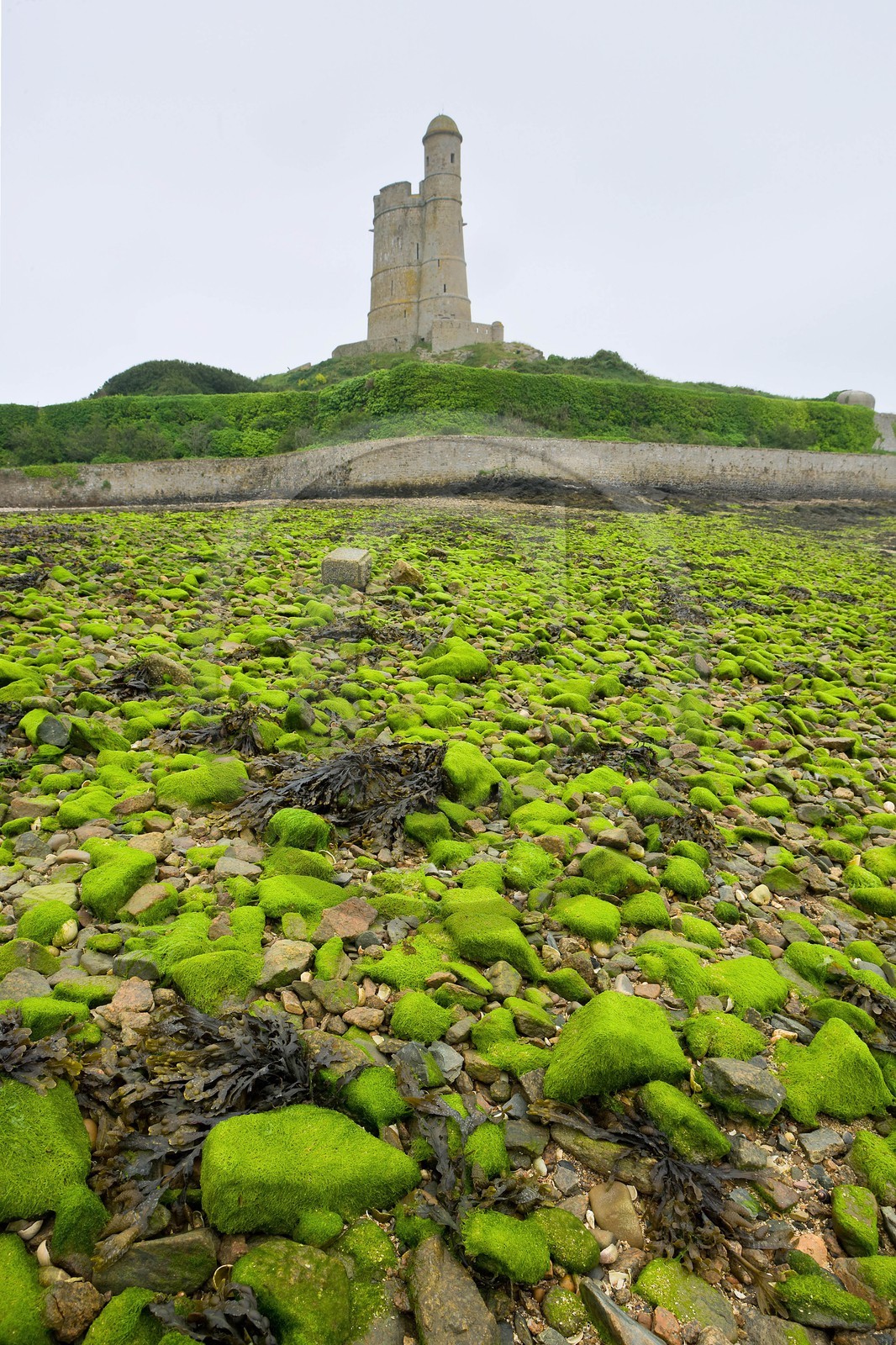 Saint-Vaast-la-Hougue