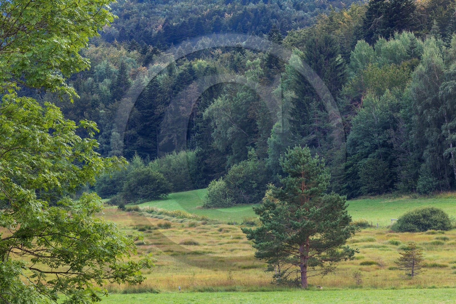 ENS de l'Isère,Tourbières du Peuil