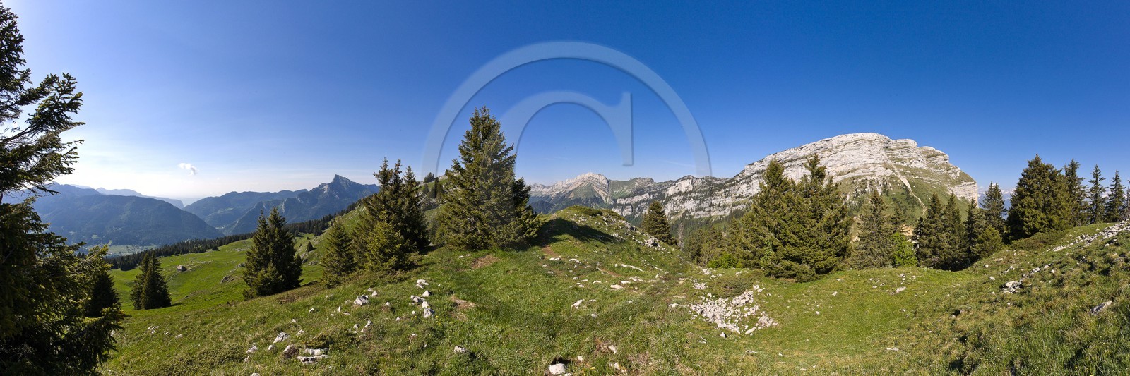 La Dent de Crolles depuis l'alpage de Pravouta