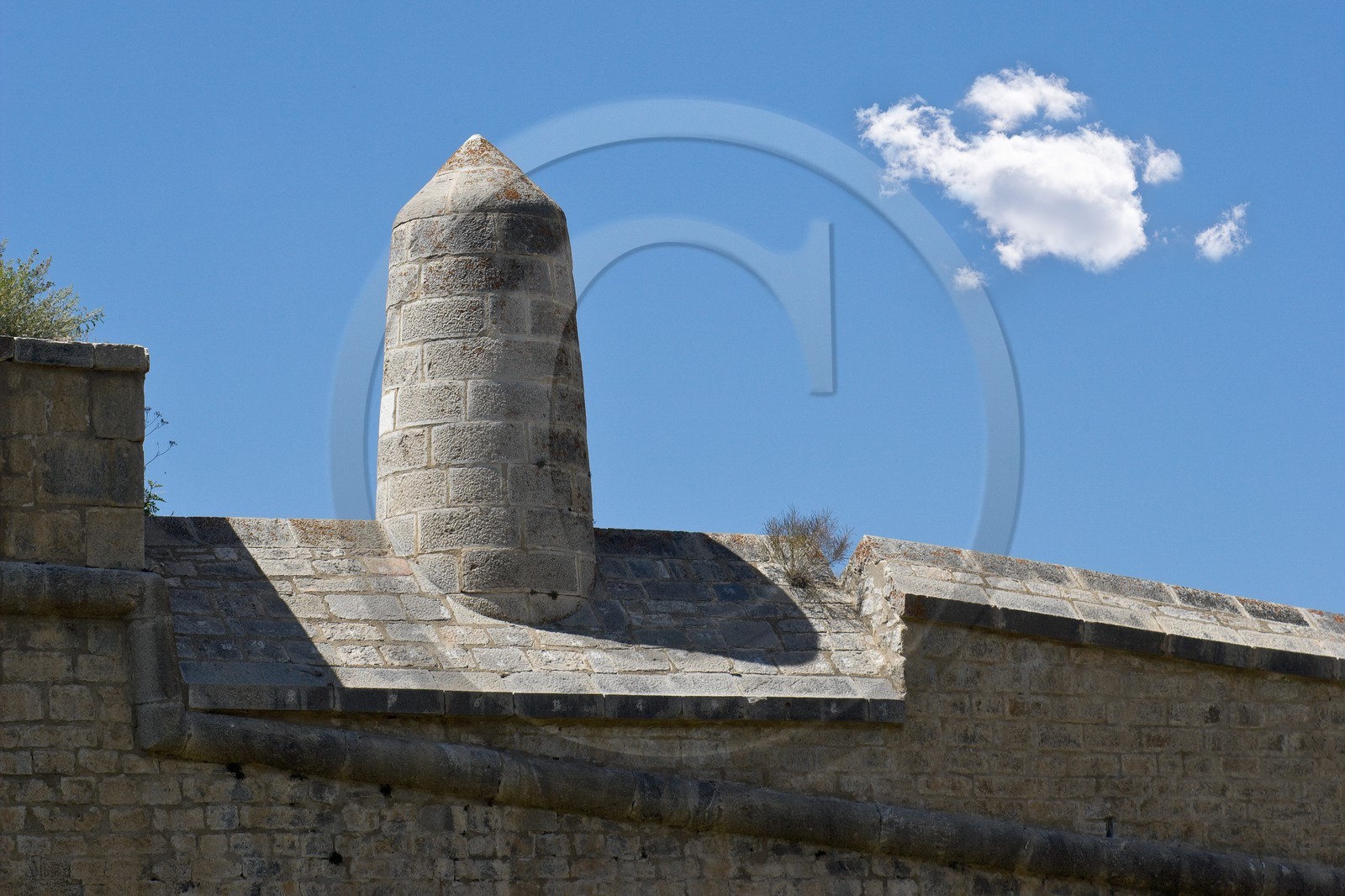 Briançon, demoiselle du rempart du Fort des Têtes