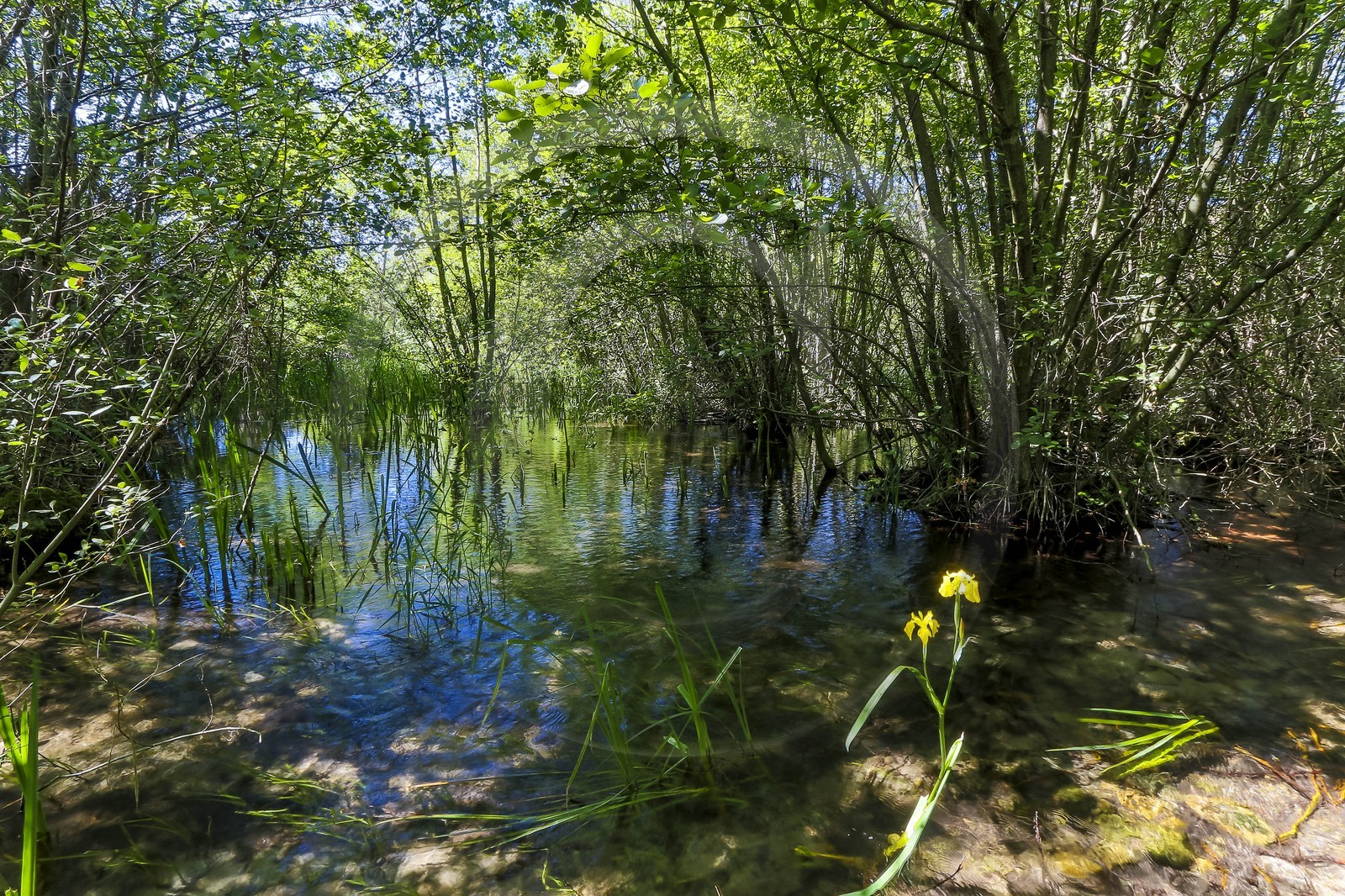 ENS de l'Isère, Les Fontaines de Beaufort