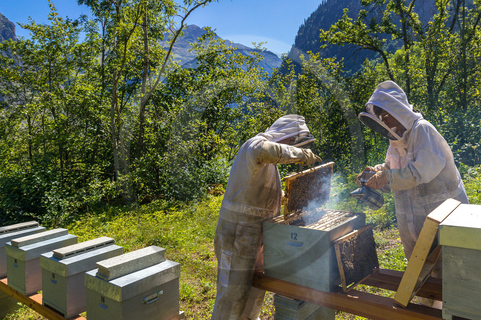 Margaux et Didier Pissard, apiculteurs