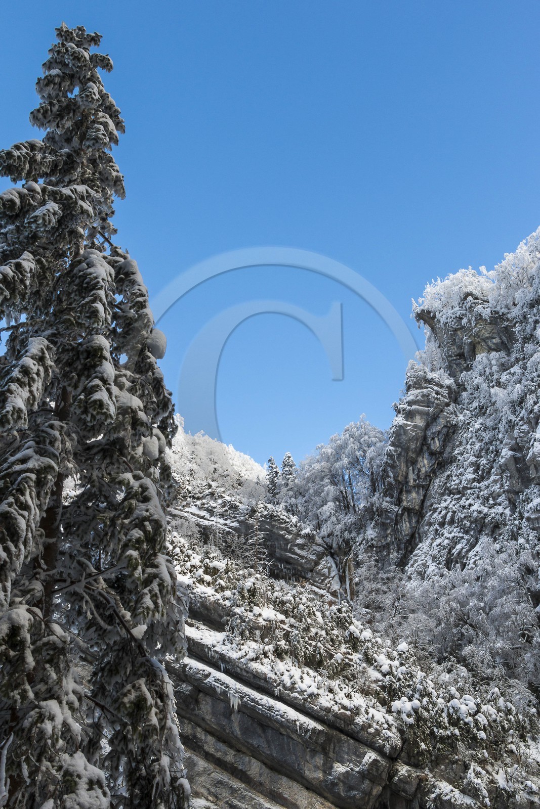 ENS de l'Isère, Les Ecouges