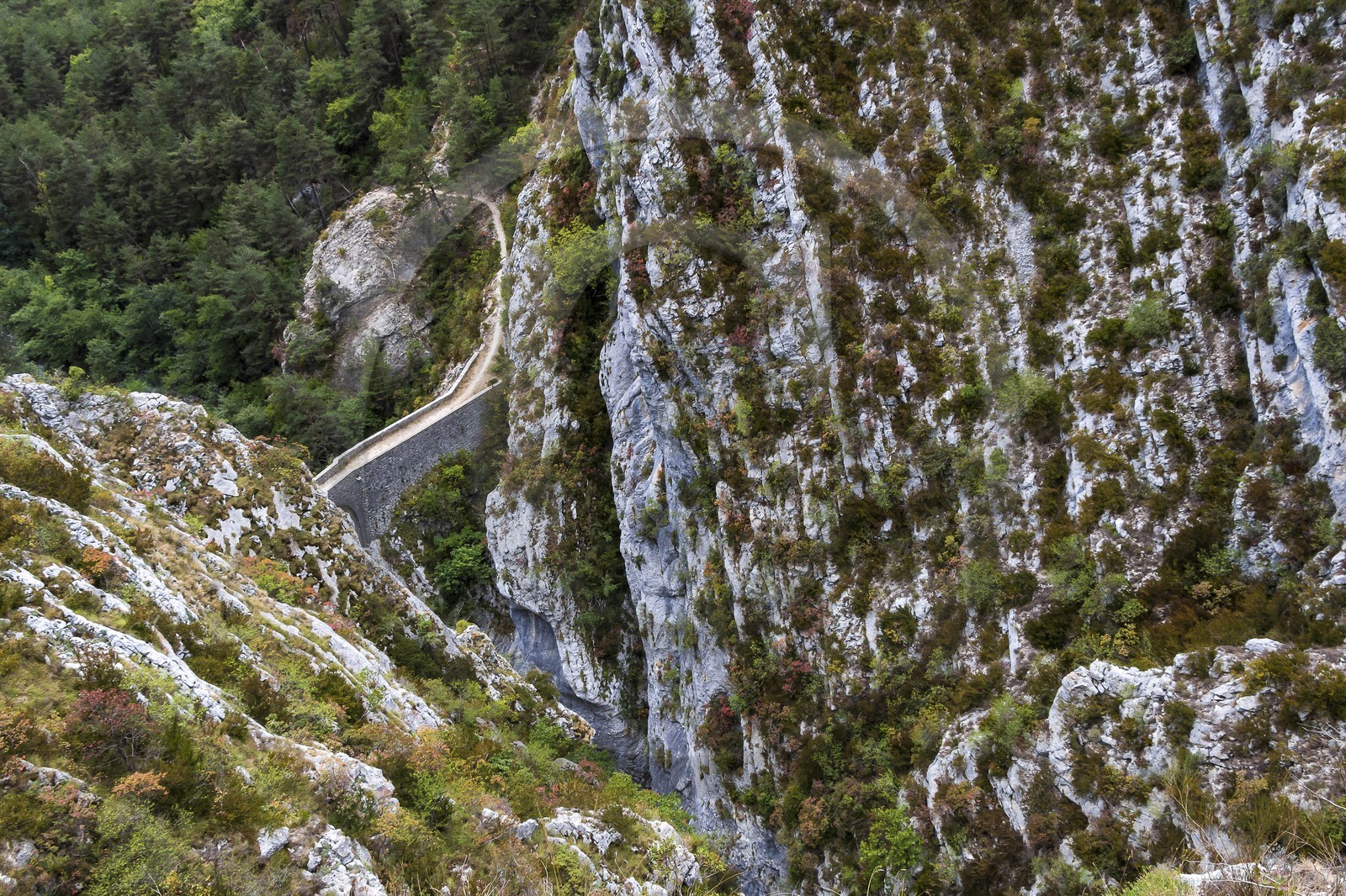 Sigale, clue du Riolan