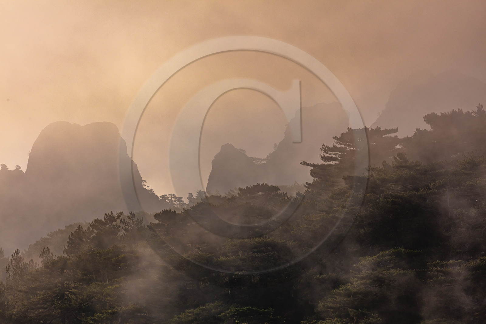 Les Aiguilles de Bavella (forchi di Bavedda )