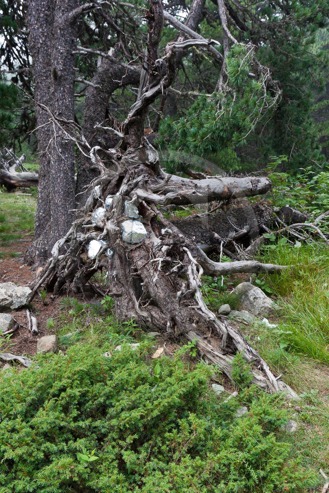 Sentiers Art et Nature Queyras et Val Varaita, Peter Gross