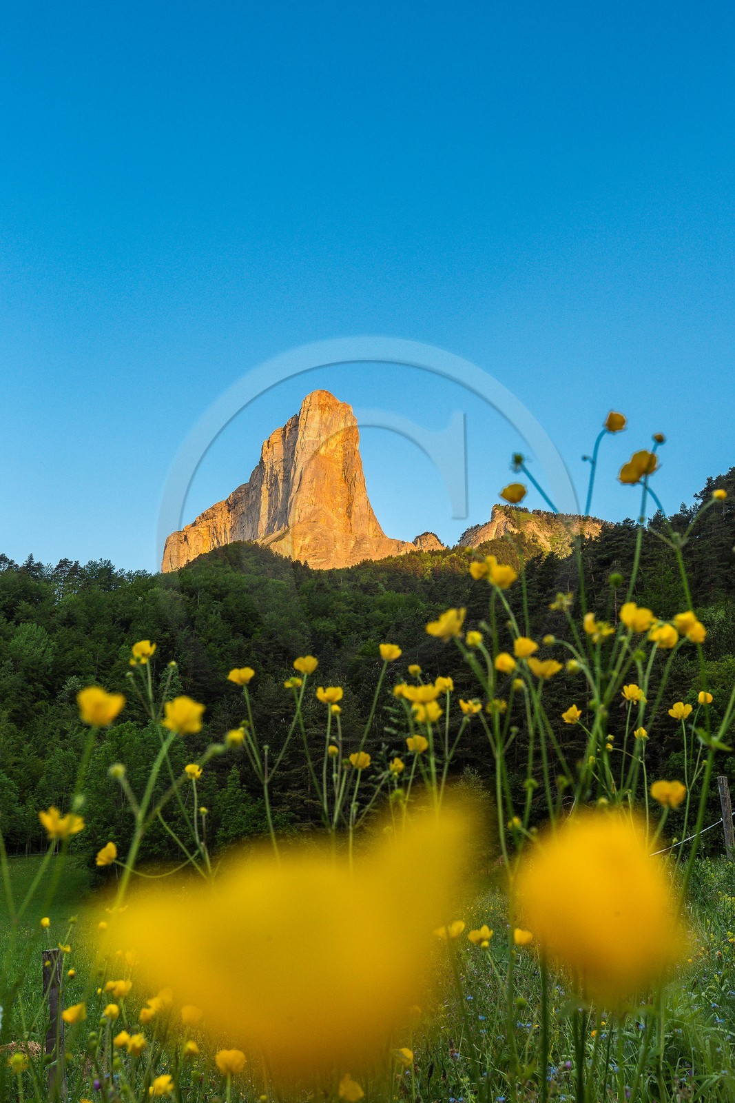 Trièves, le Mont-Aiguille