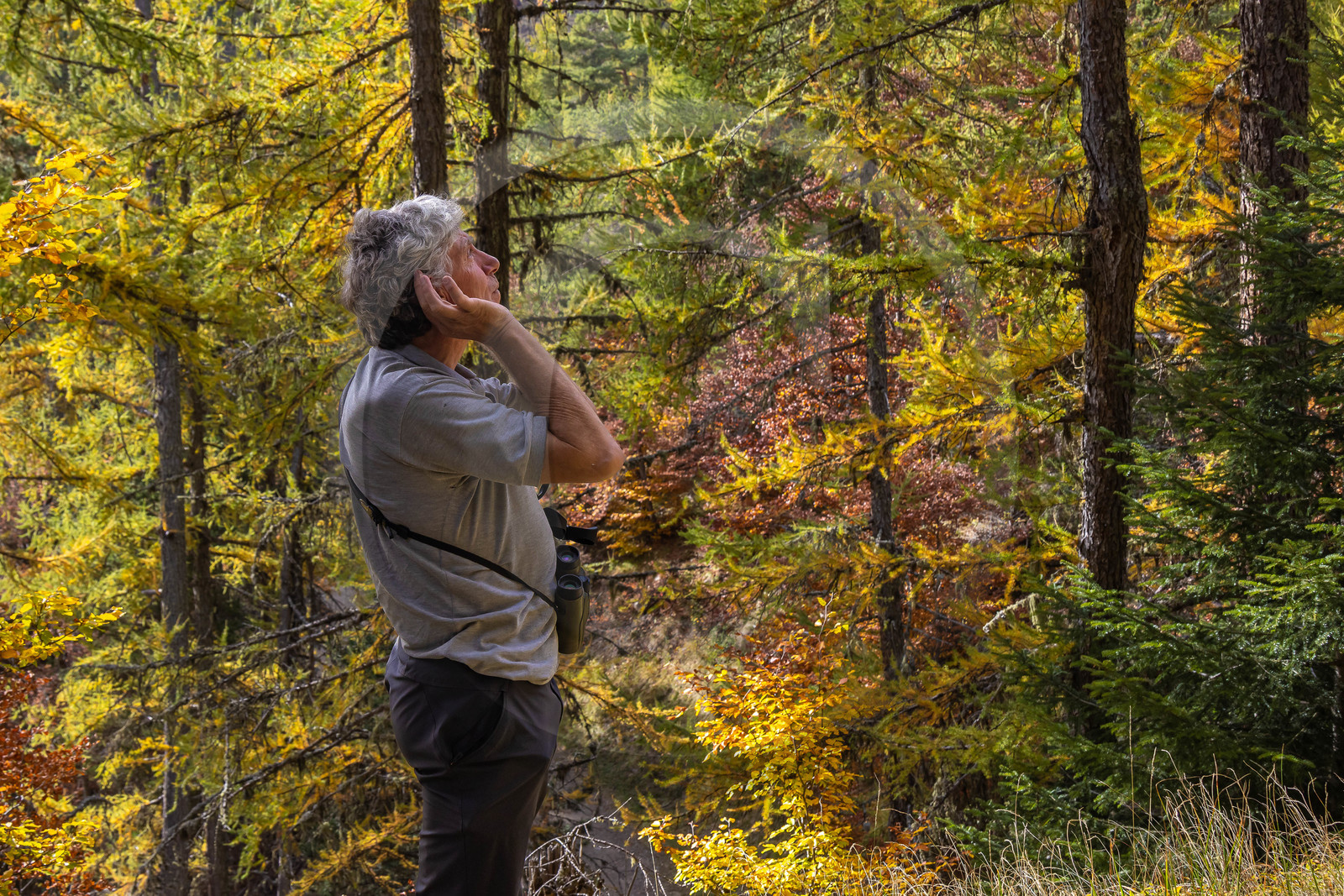 Marc Corail, garde-moniteur du Parc national des Ecrins