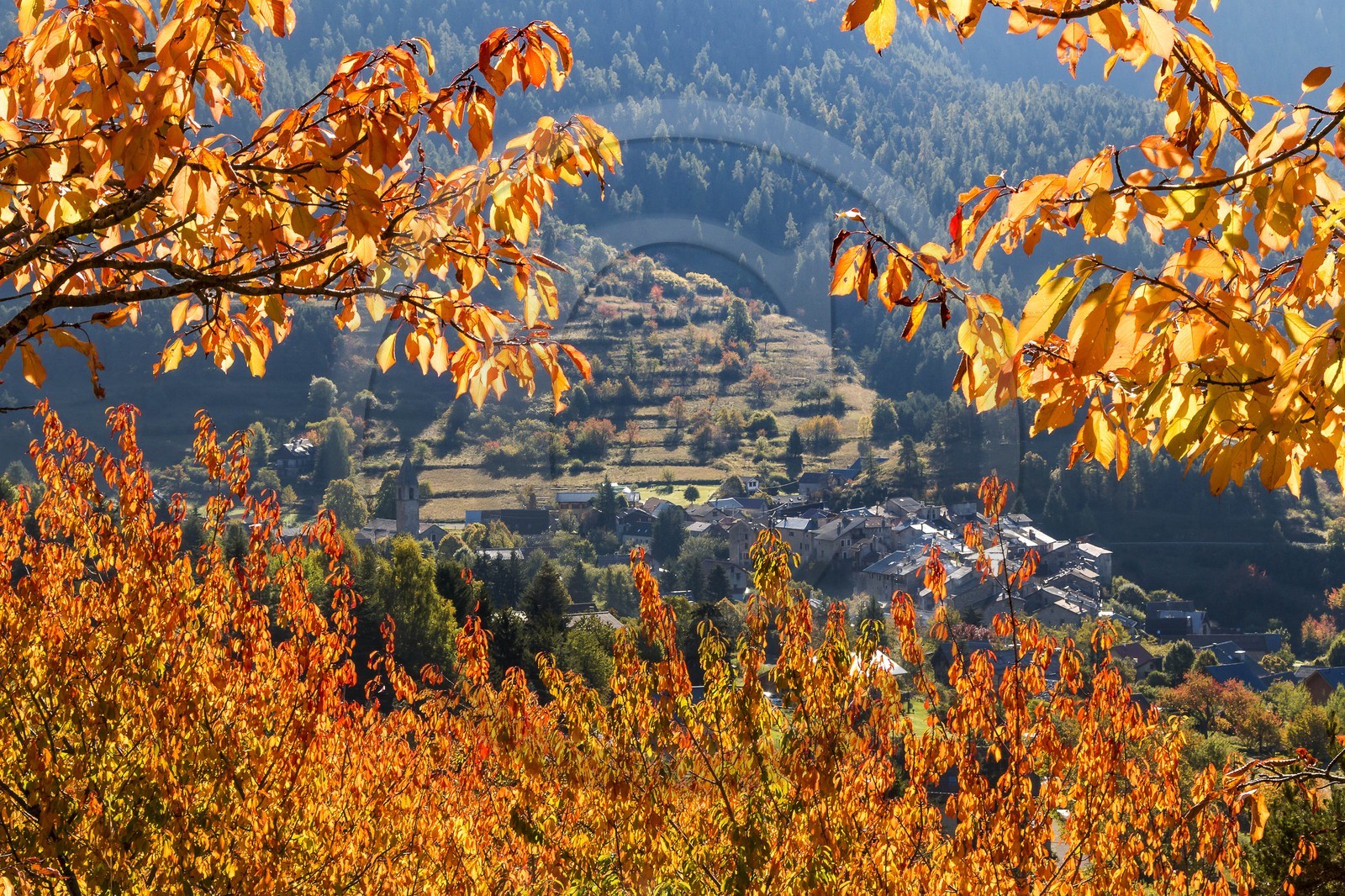 Valdeblore, Saint-Dalmas