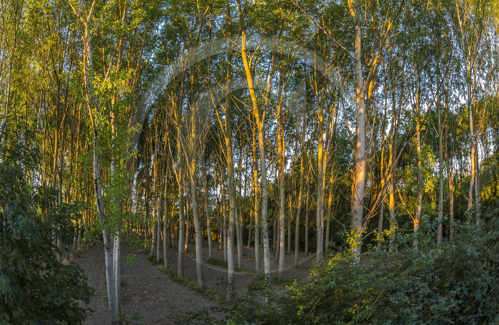 ENS de l'Isère, , le méandre des Oves