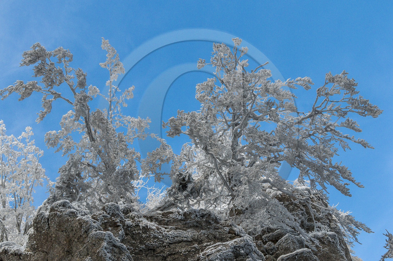 ENS de l'Isère, Les Ecouges