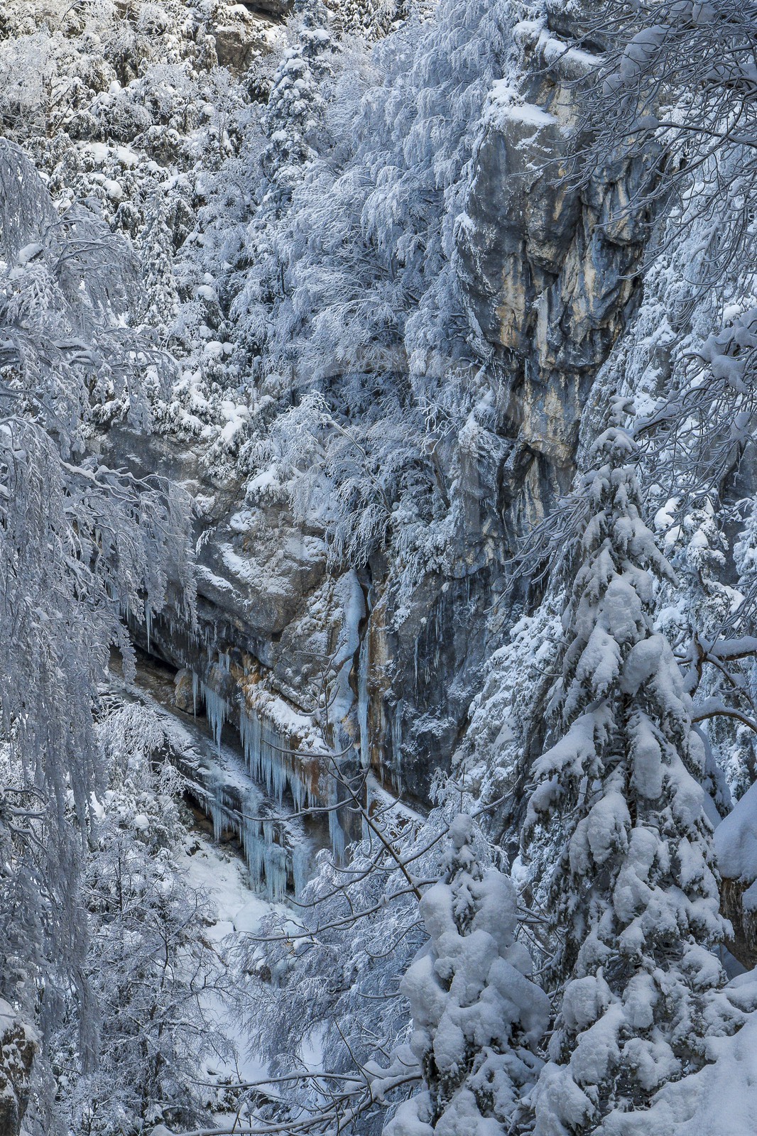 ENS de l'Isère, Les Ecouges