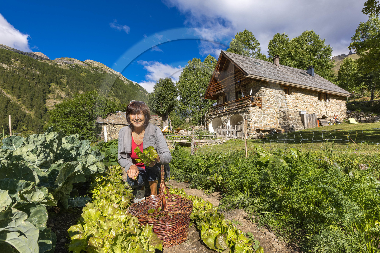 L'Ecrin de Violette, Chambres et table d'hôtes