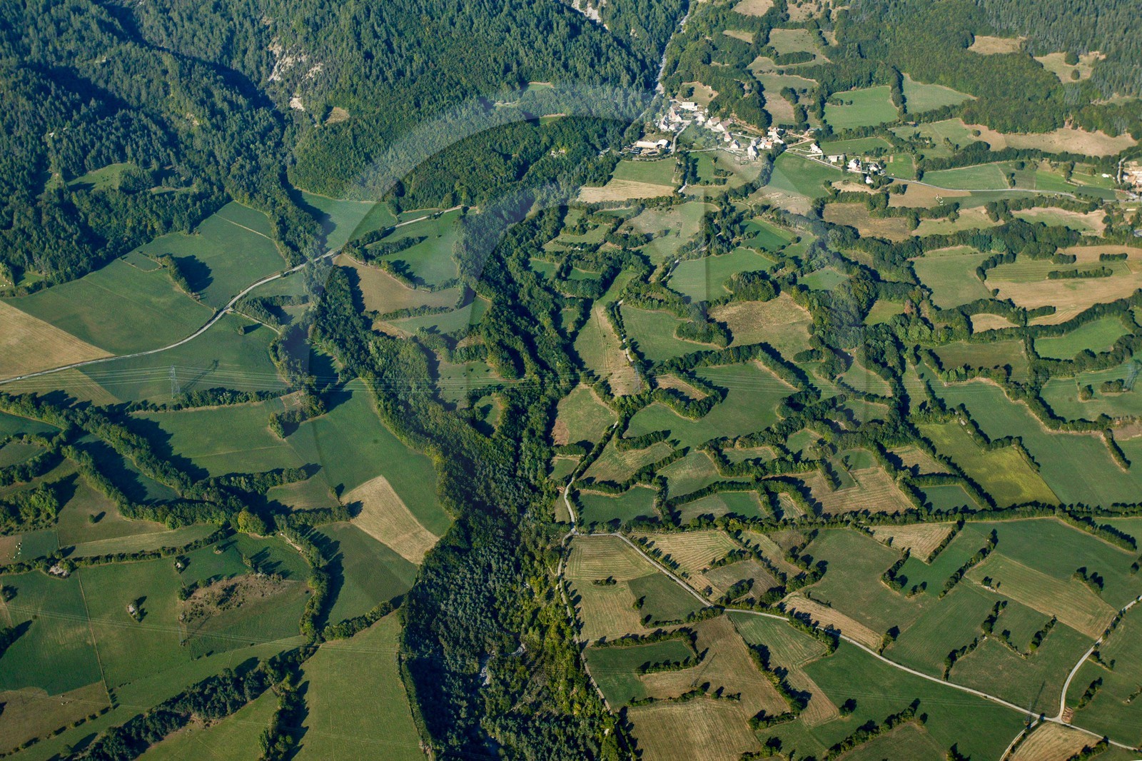 Vallée du Champsaur, le bocage