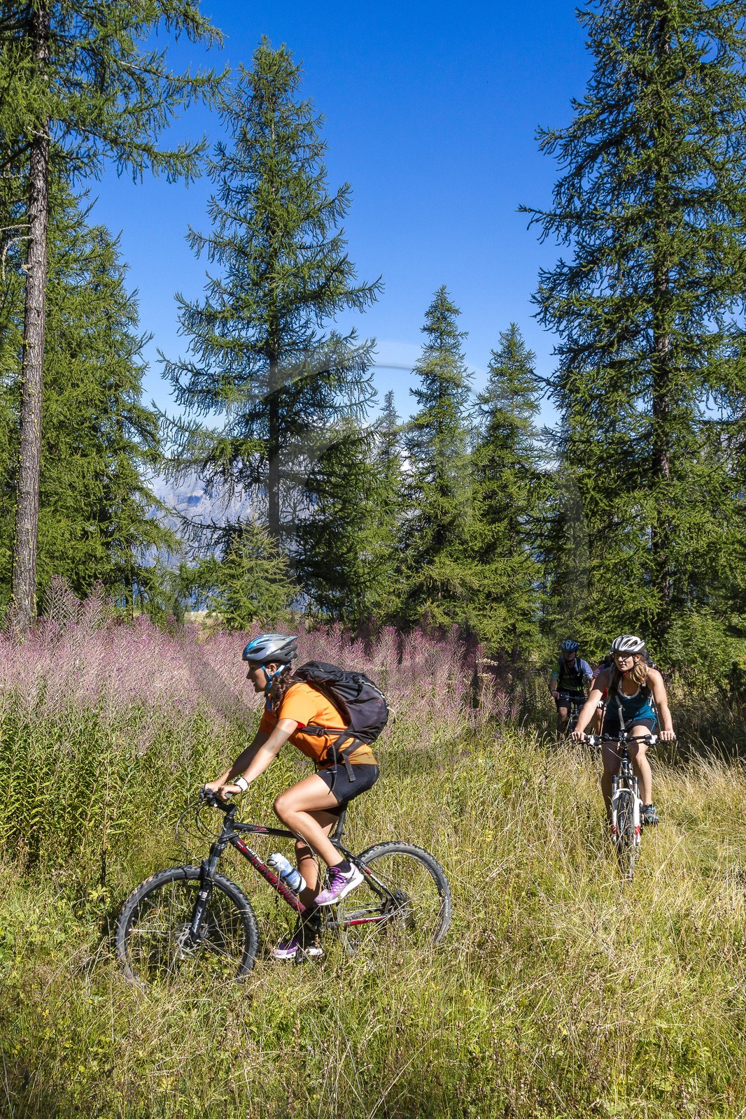 VTT Grand tour des Ecrins