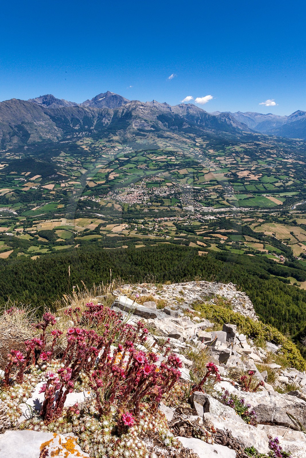 Saint-Bonnet-en-Champsaur