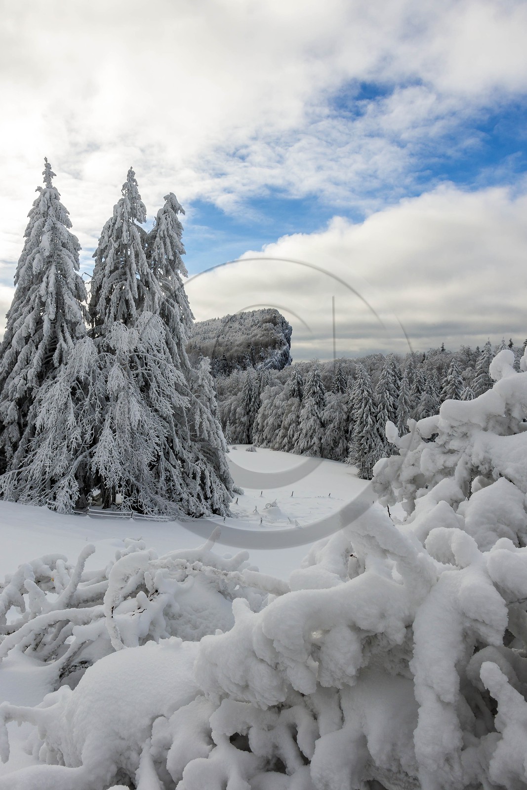 ENS de l'Isère, Les Ecouges