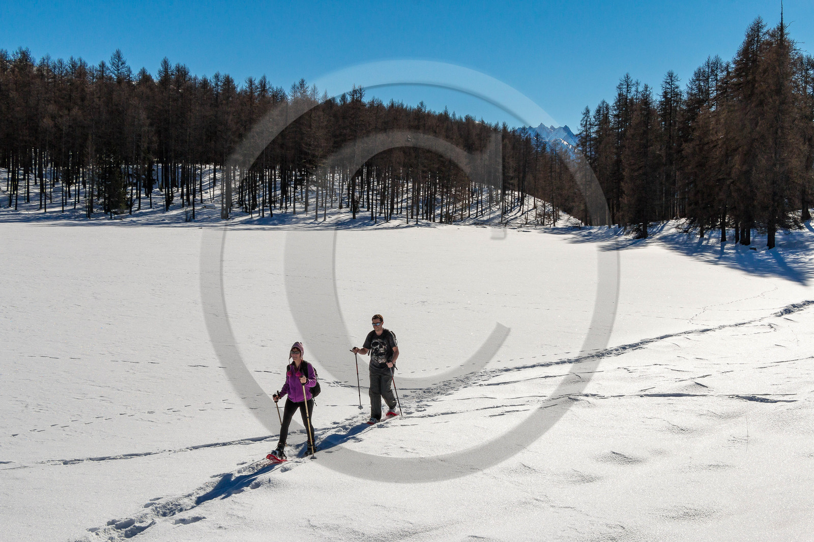Randonnée en raquettes à neige