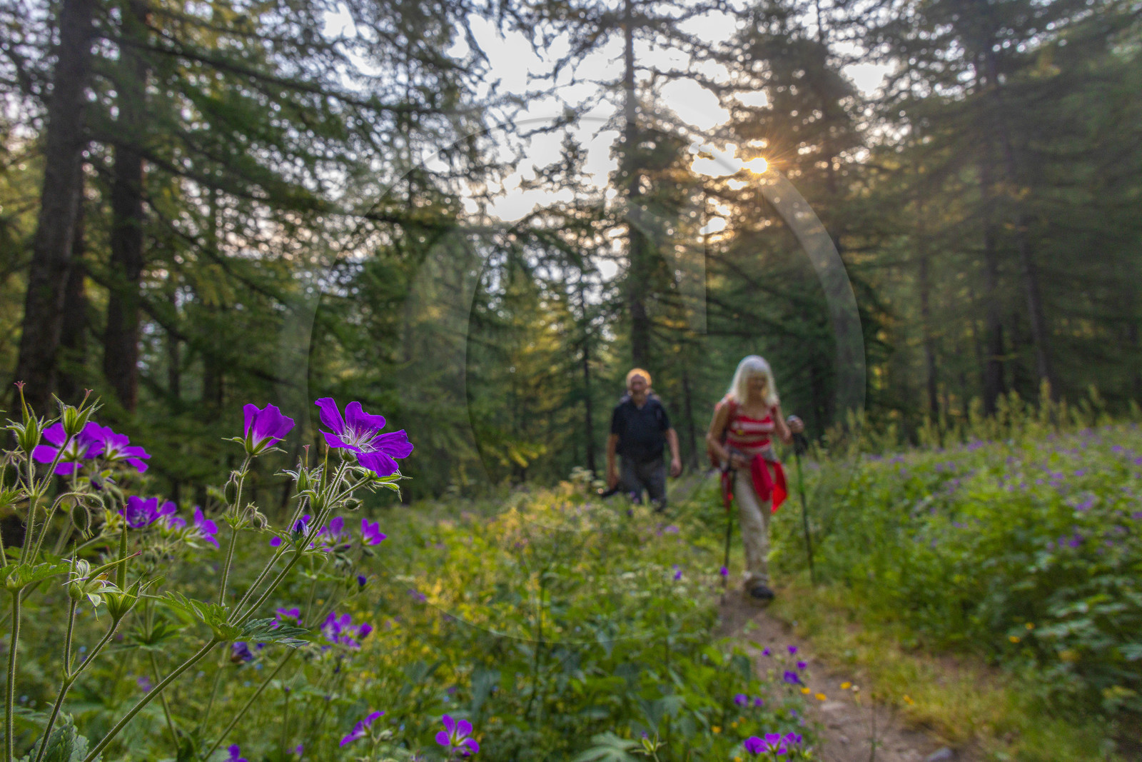 Le Monêtier-les-Bains