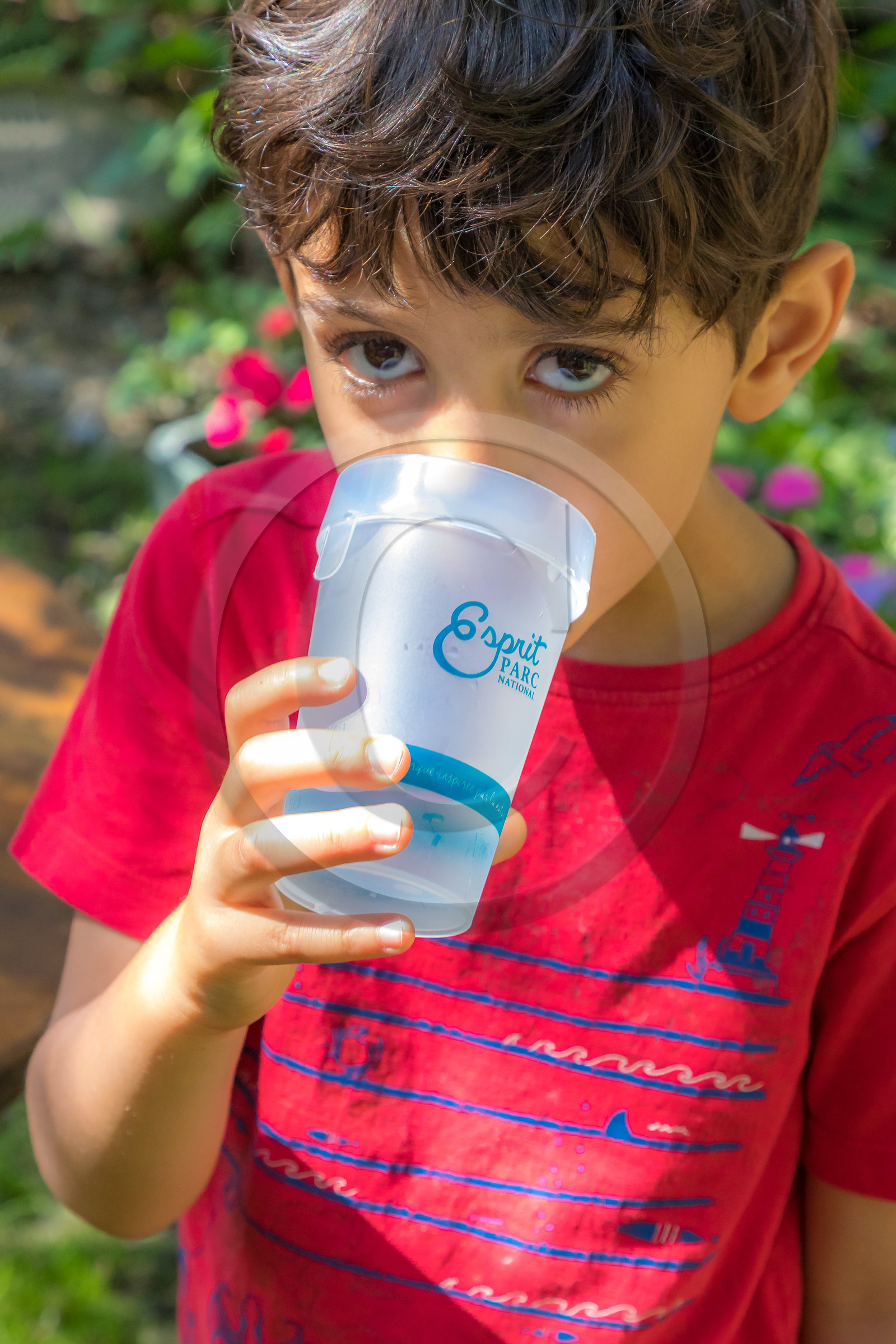 Gîte d'étape et de sejour Les Filons