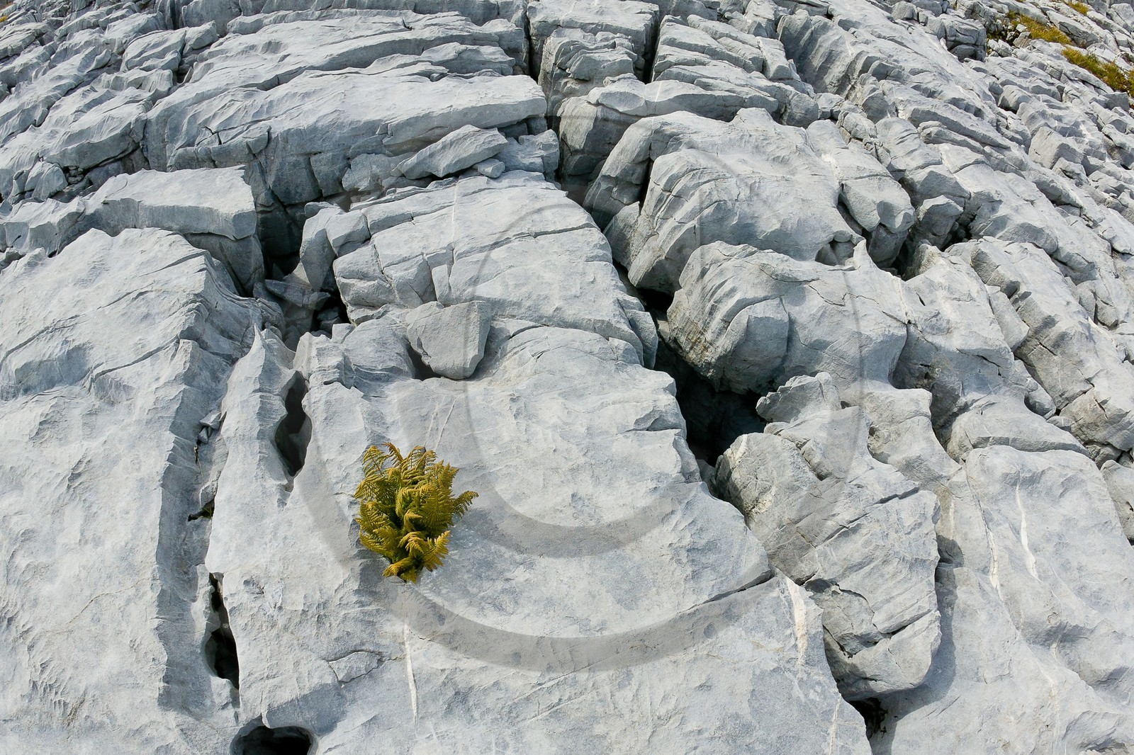Désert de Platé, le Dérochoir et le Mont-Blanc