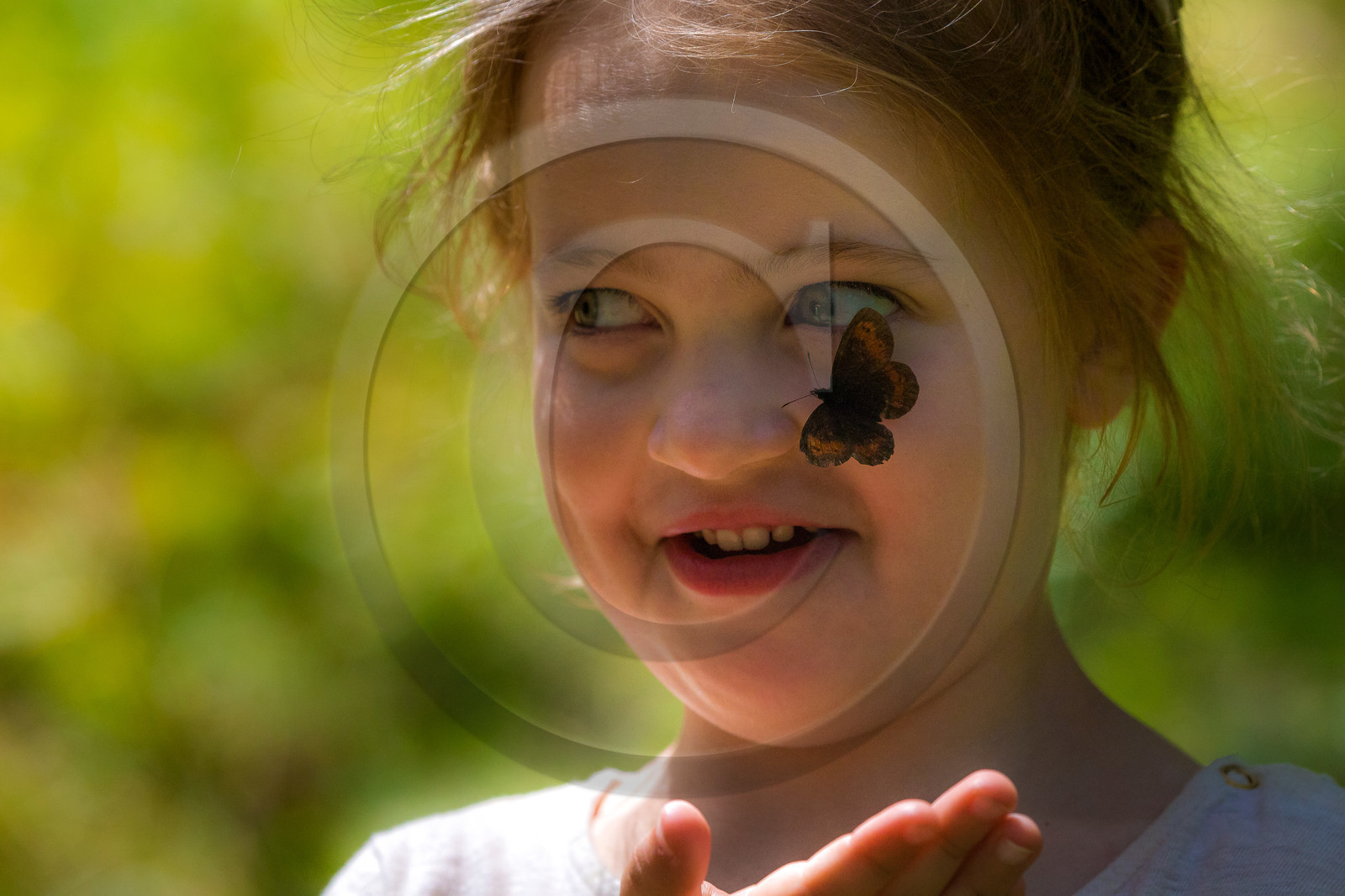 Curieux de nature, sortie découverte avec Cyril Mahout