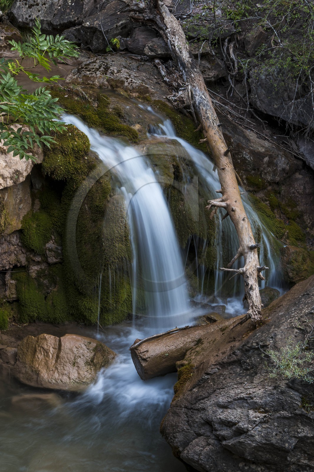 Torrent le Riou du Pont