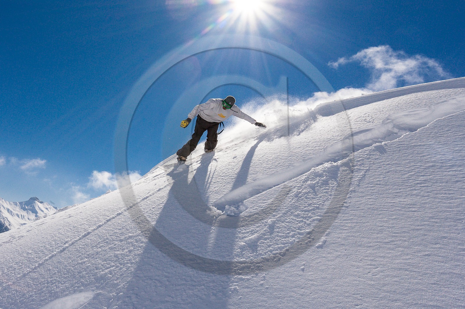 Surf des neige, Snowboard