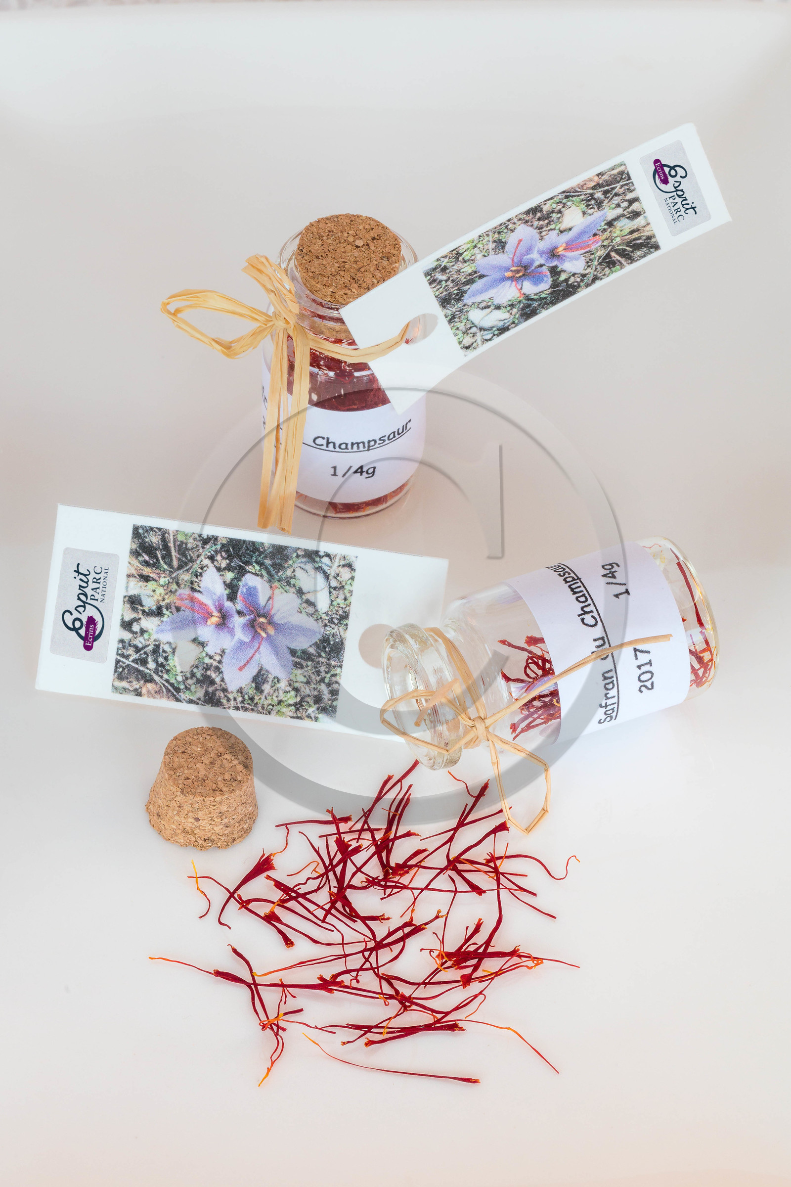 Melissa Bertrand-Pellisson,  safranière