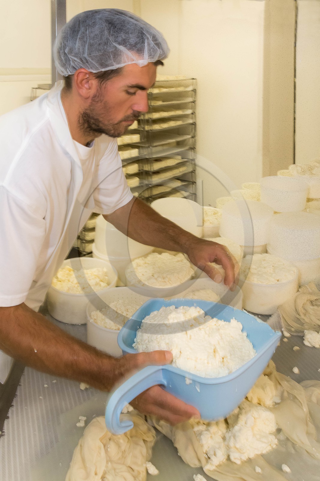 Vallée du Champsaur, fromagerie Ebrard