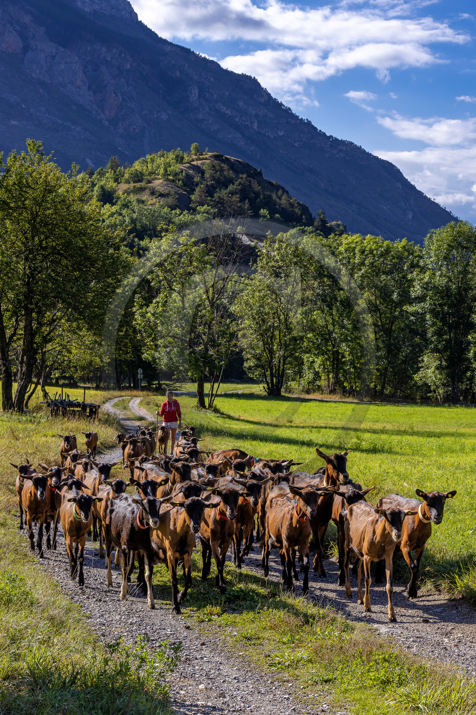 Gaec La Ferme des Ecrins