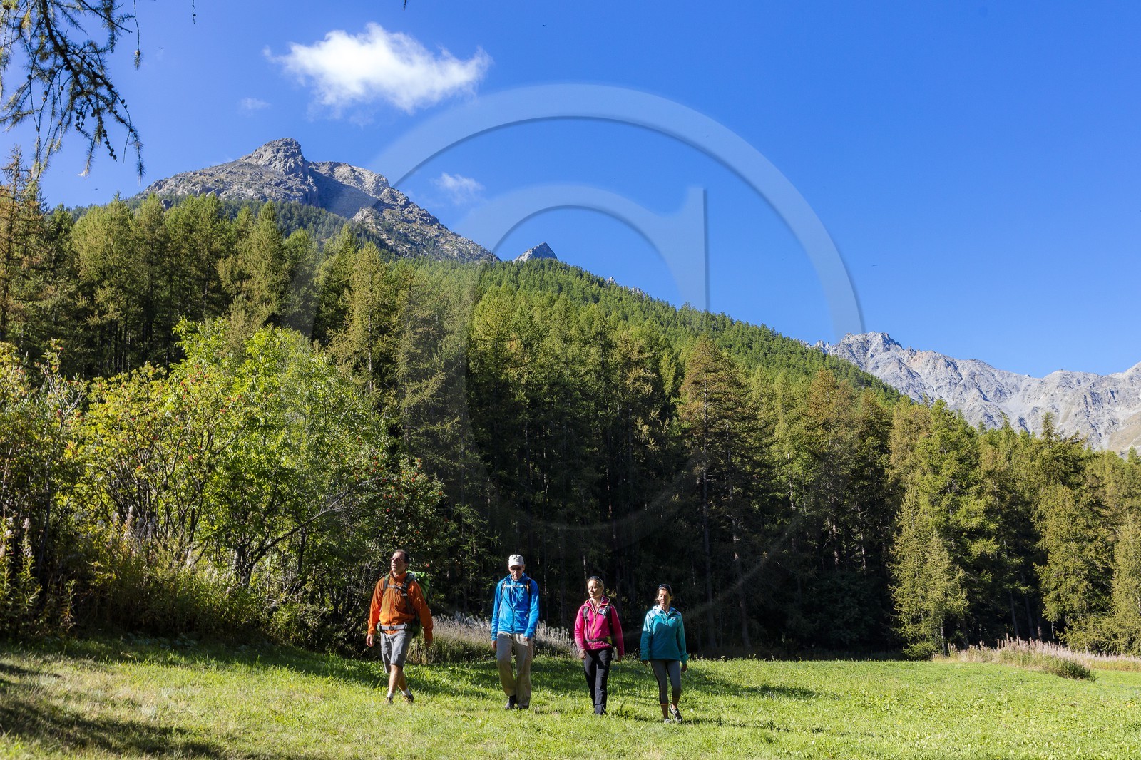 Céline Jumentier, accompagnatrice en moyenne montagne