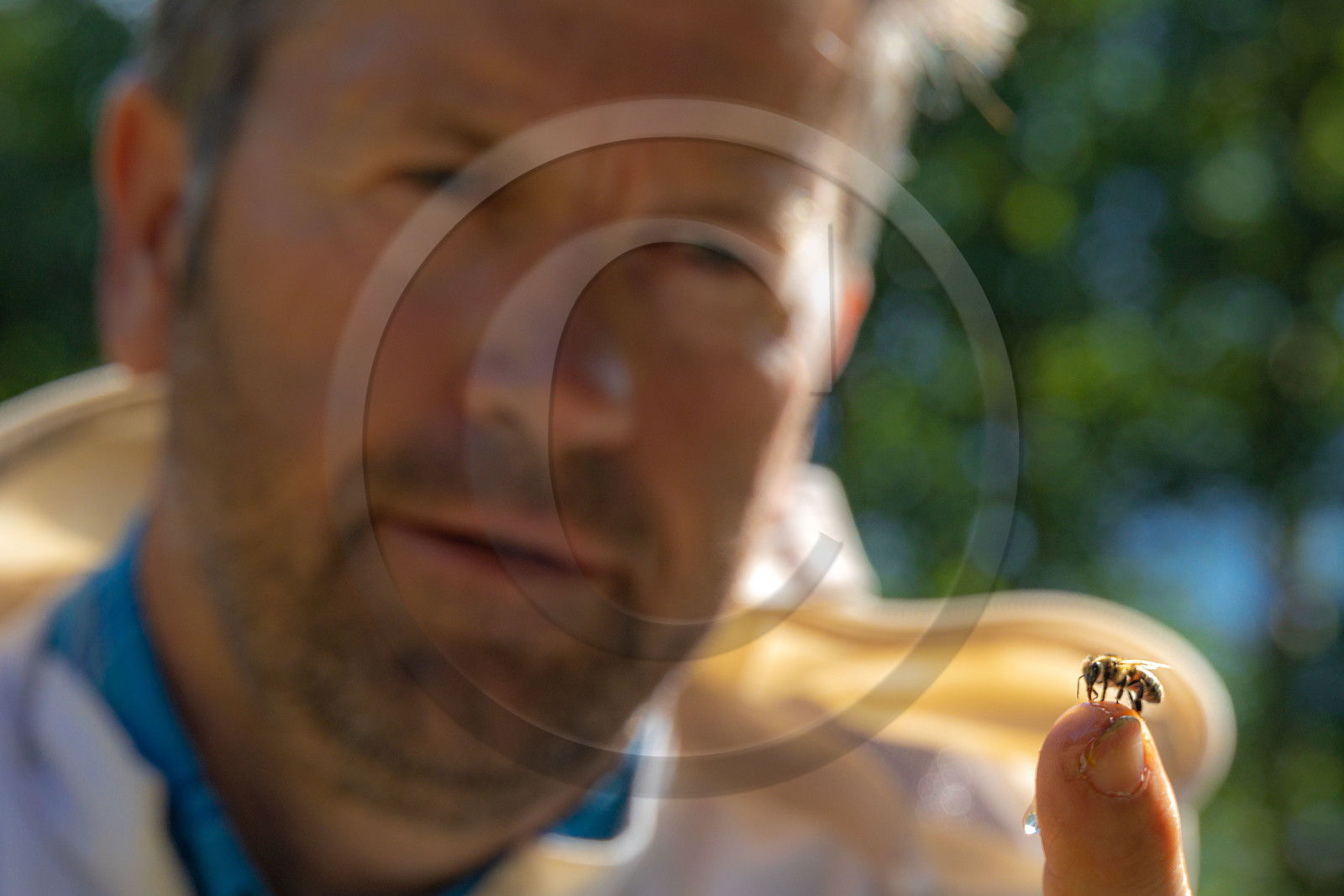 Jean-Jacques Daubert - Apiculteur