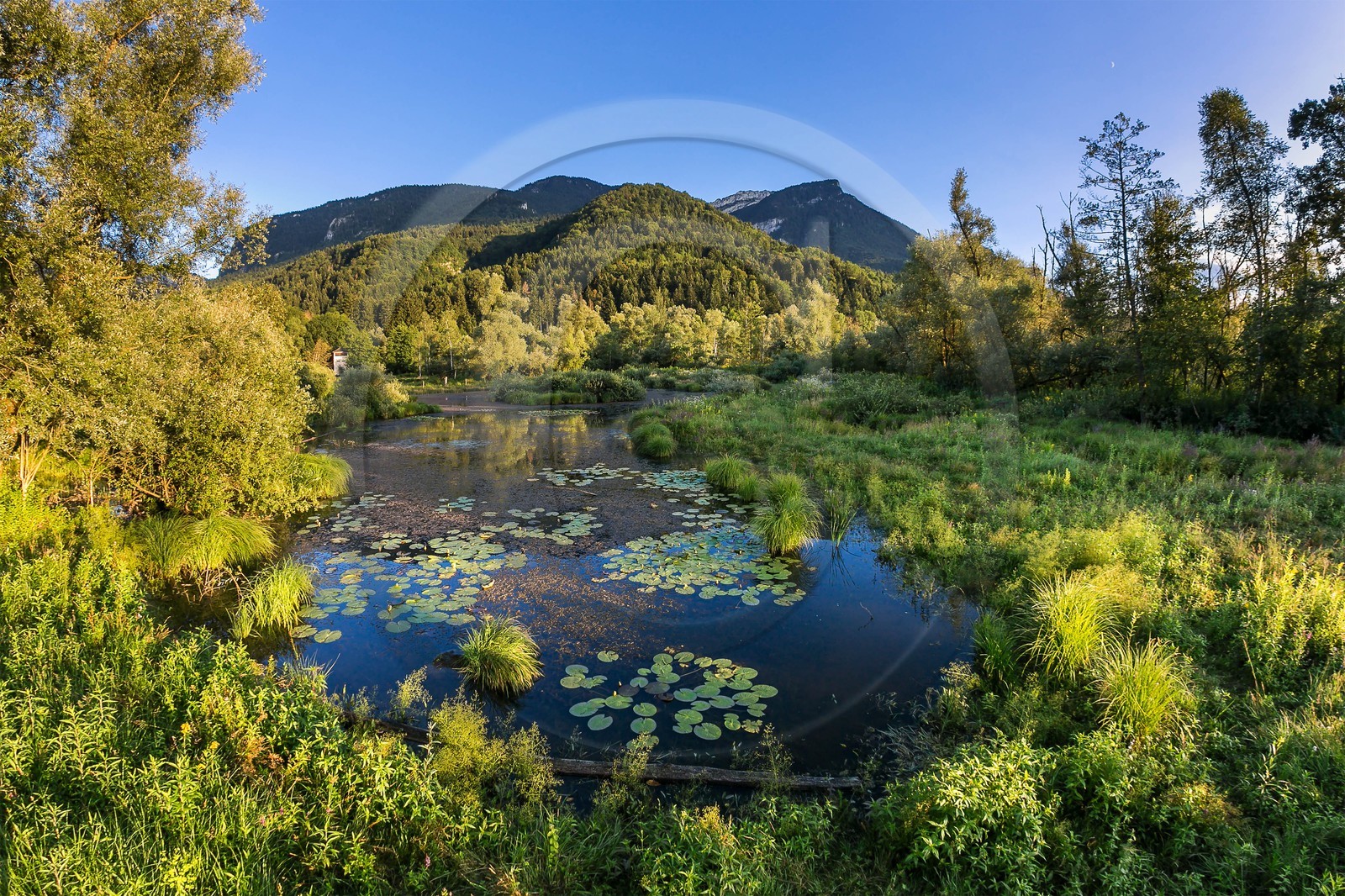 ENS de l'Isère, Tourbières de l'Herretang