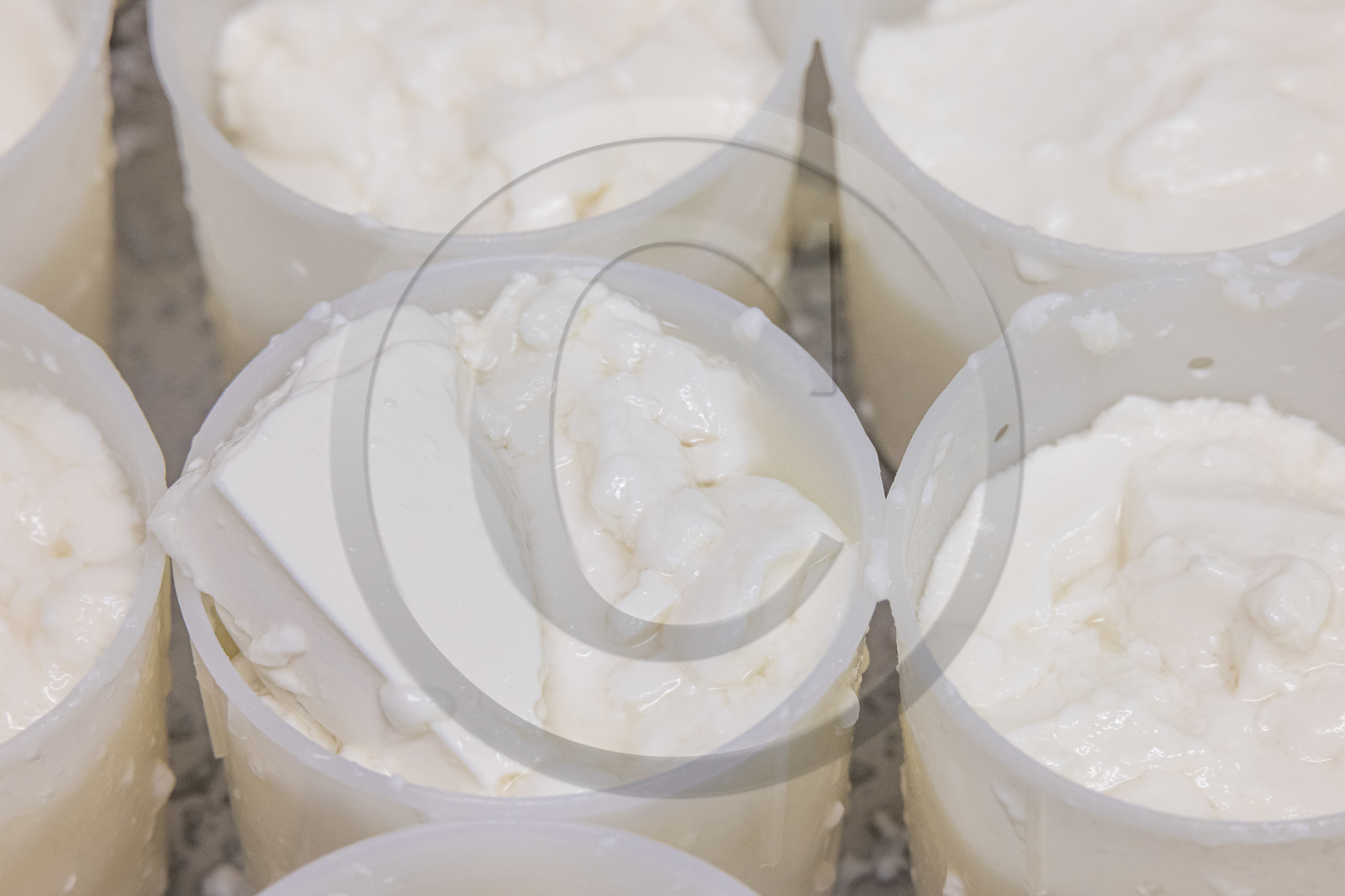 Gaec La Ferme des Ecrins