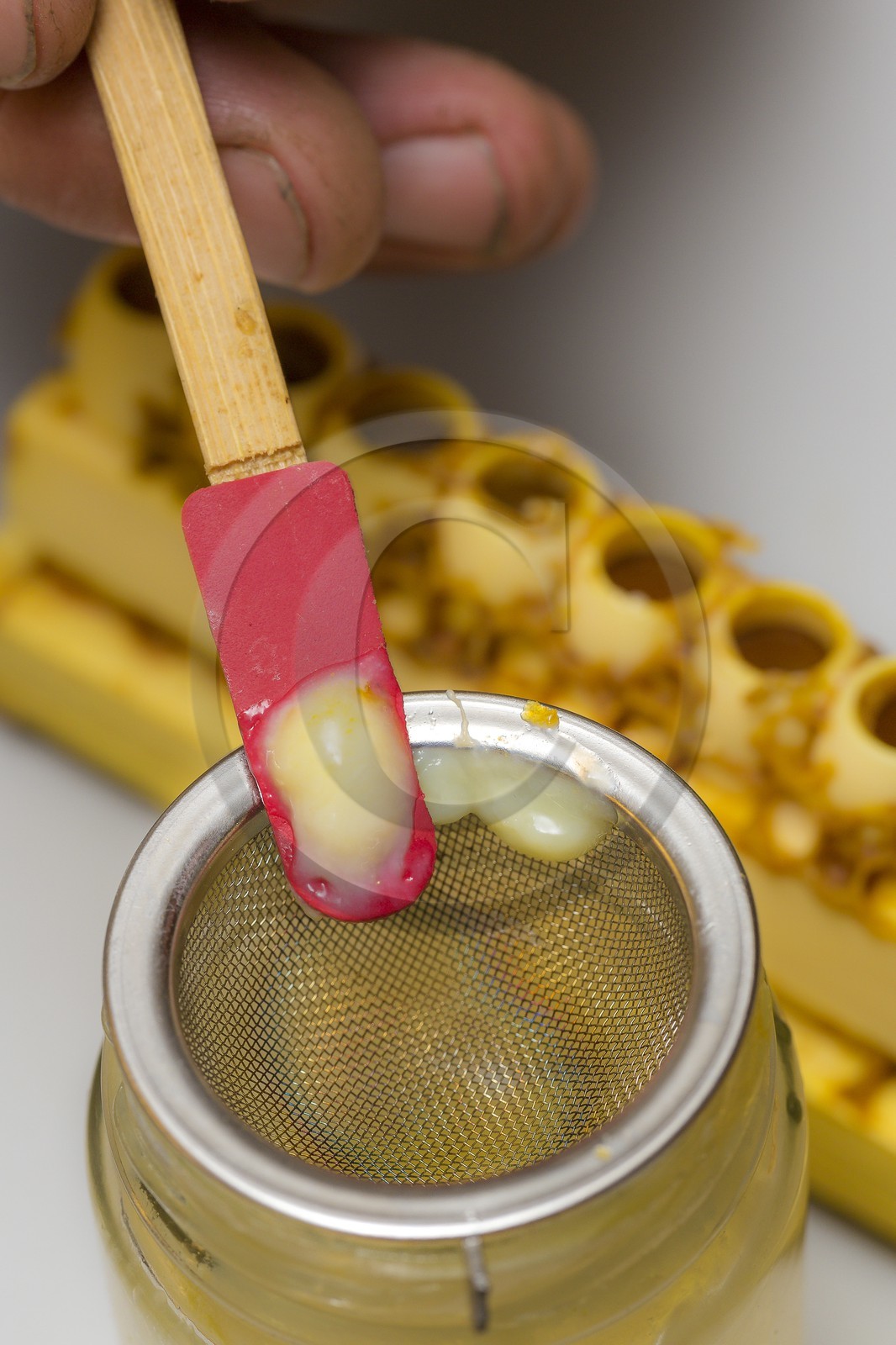 Mathieu Picavet, apiculteur