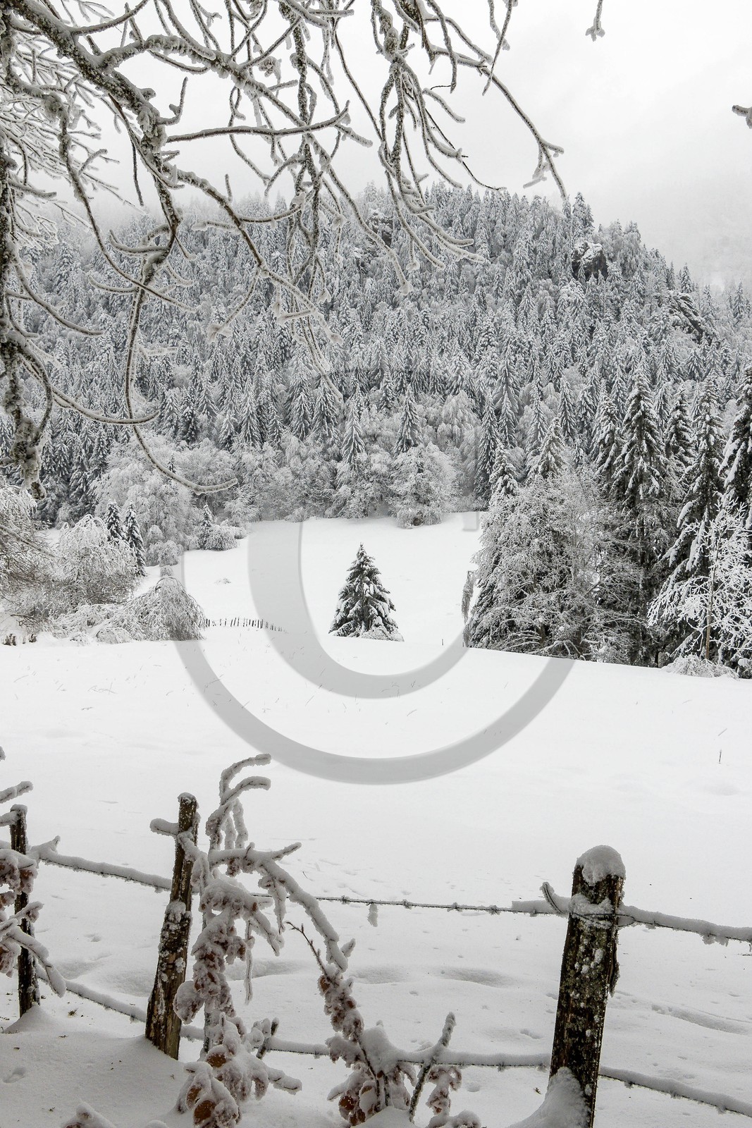 ENS de l'Isère, Les Ecouges