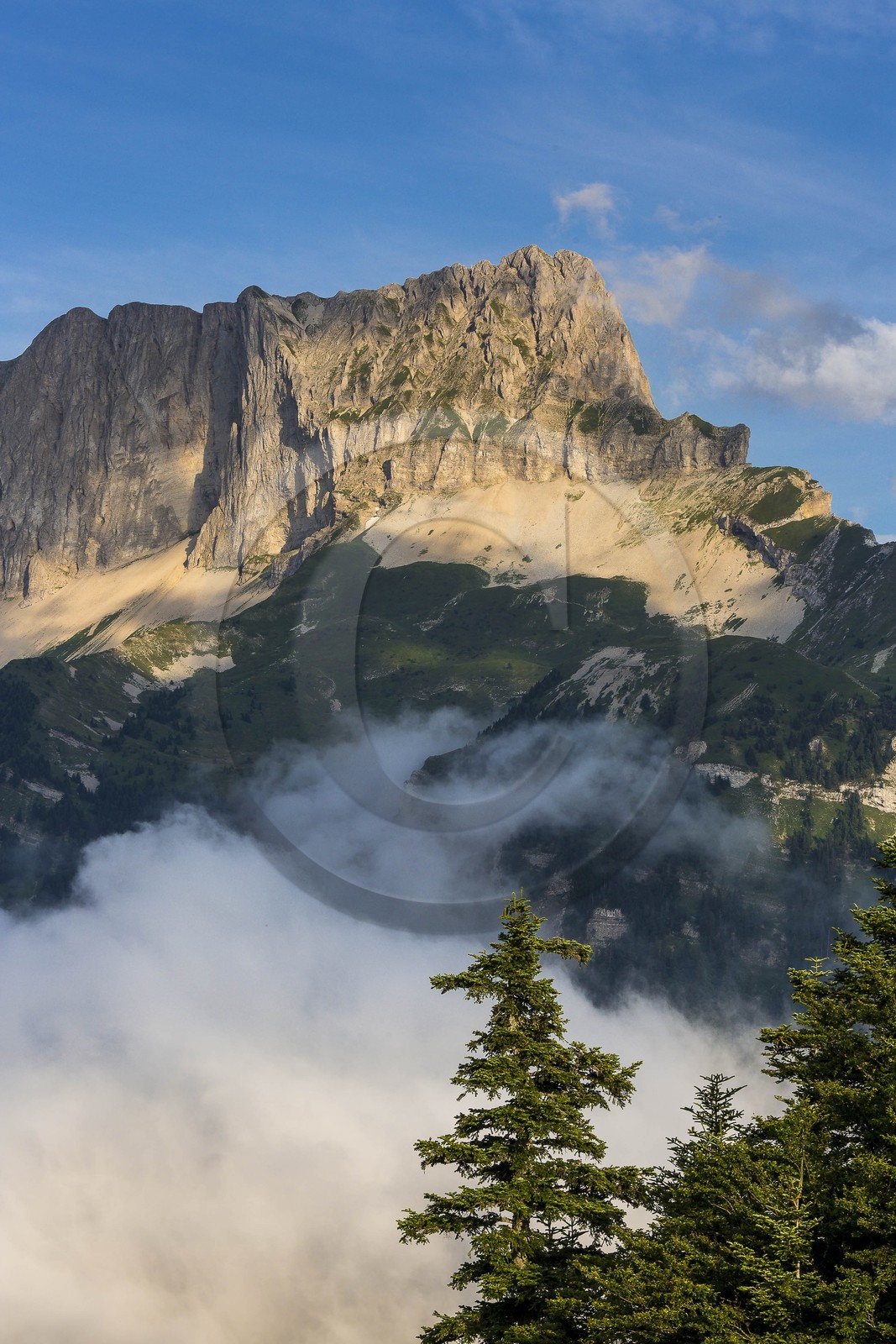 vallon de La Jarjatte, Tête de Vachères