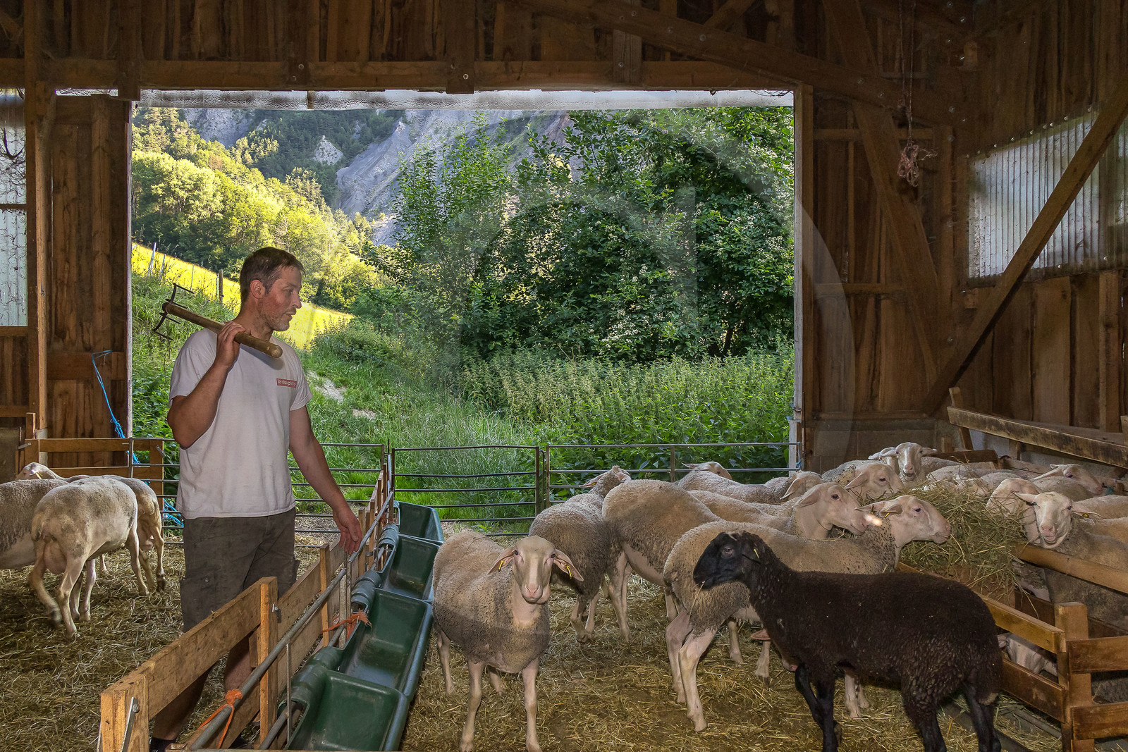 Bergerie de la Lignarre