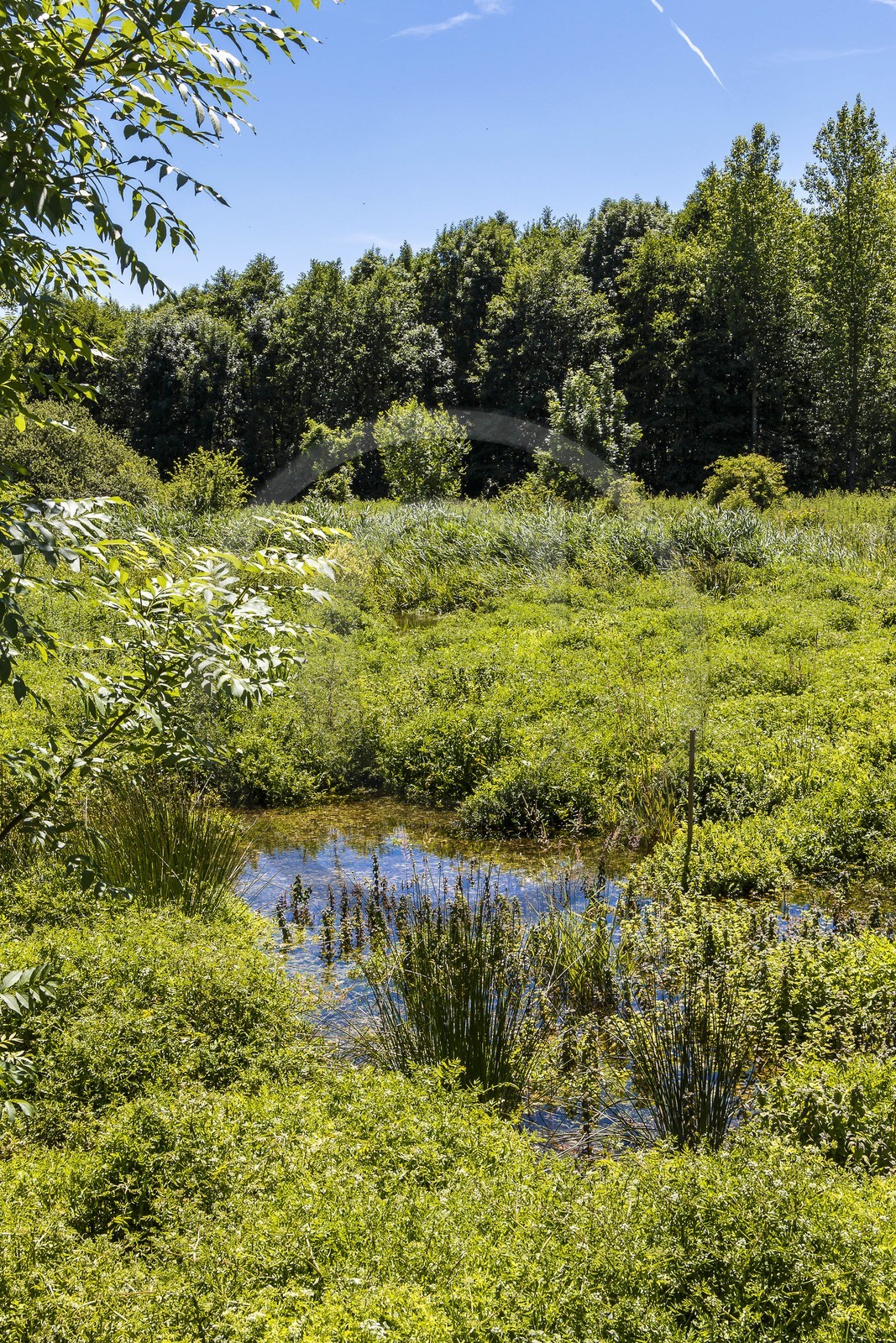 ENS de l'Isère, Les Fontaines de Beaufort