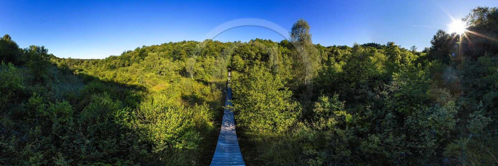 ENS de l'Isère, Tourbière des Planchettes