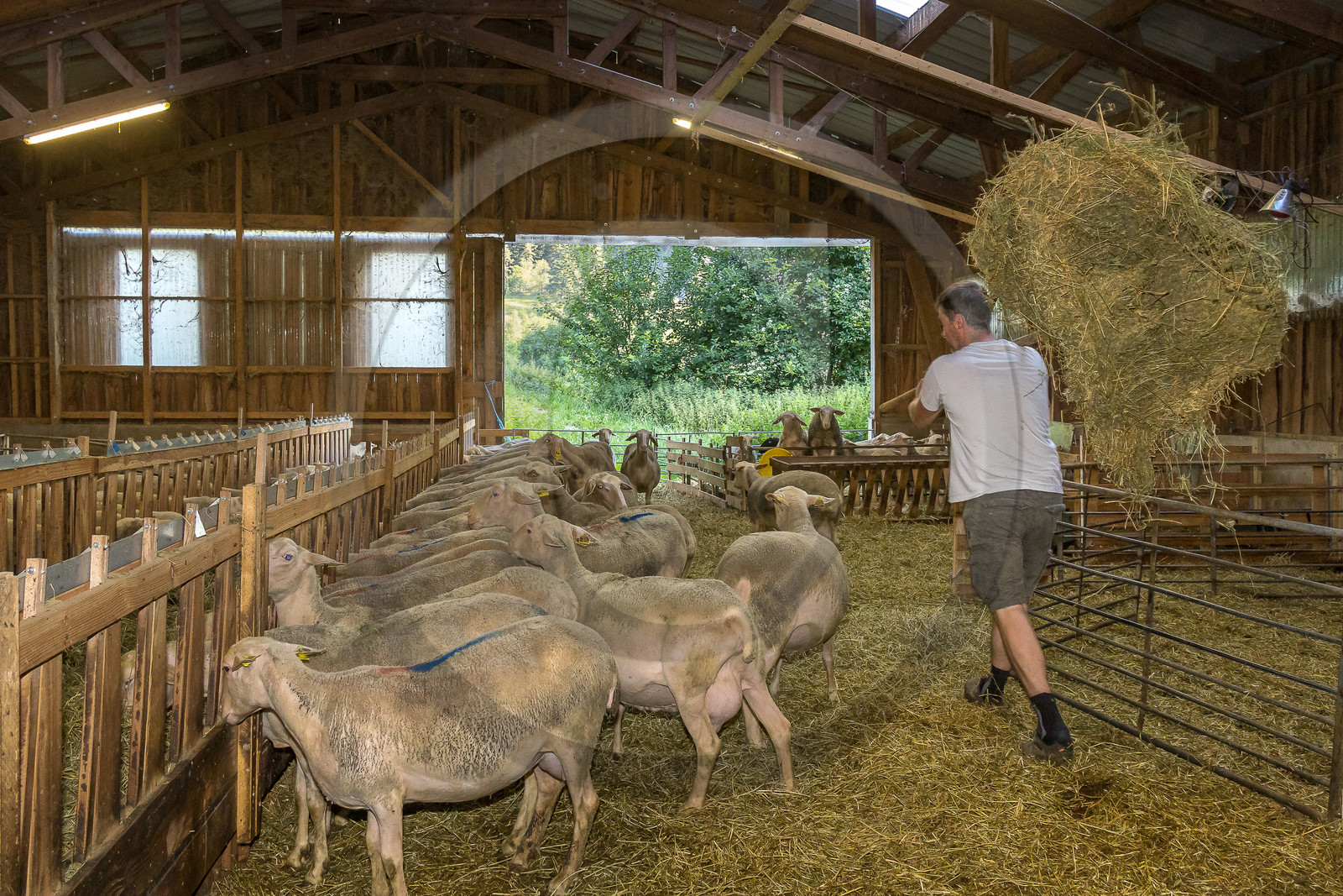 Bergerie de la Lignarre