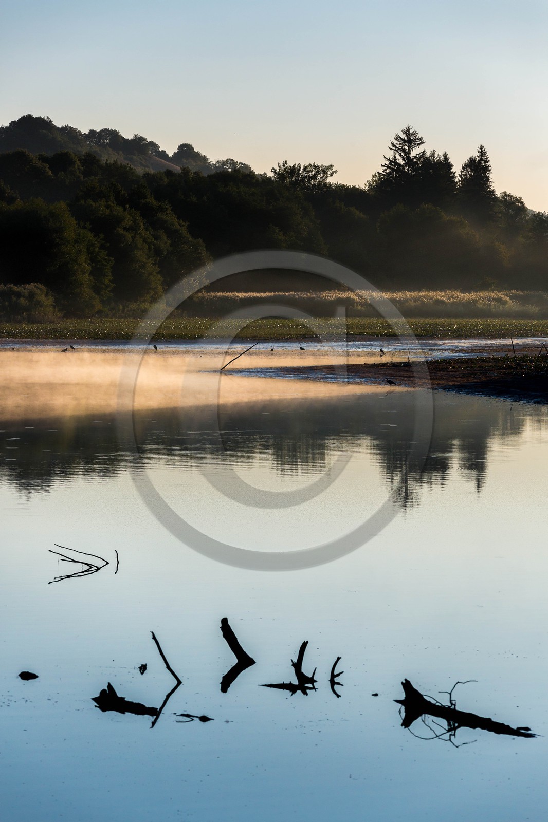 ENS de l'Isère, étang de Montjoux