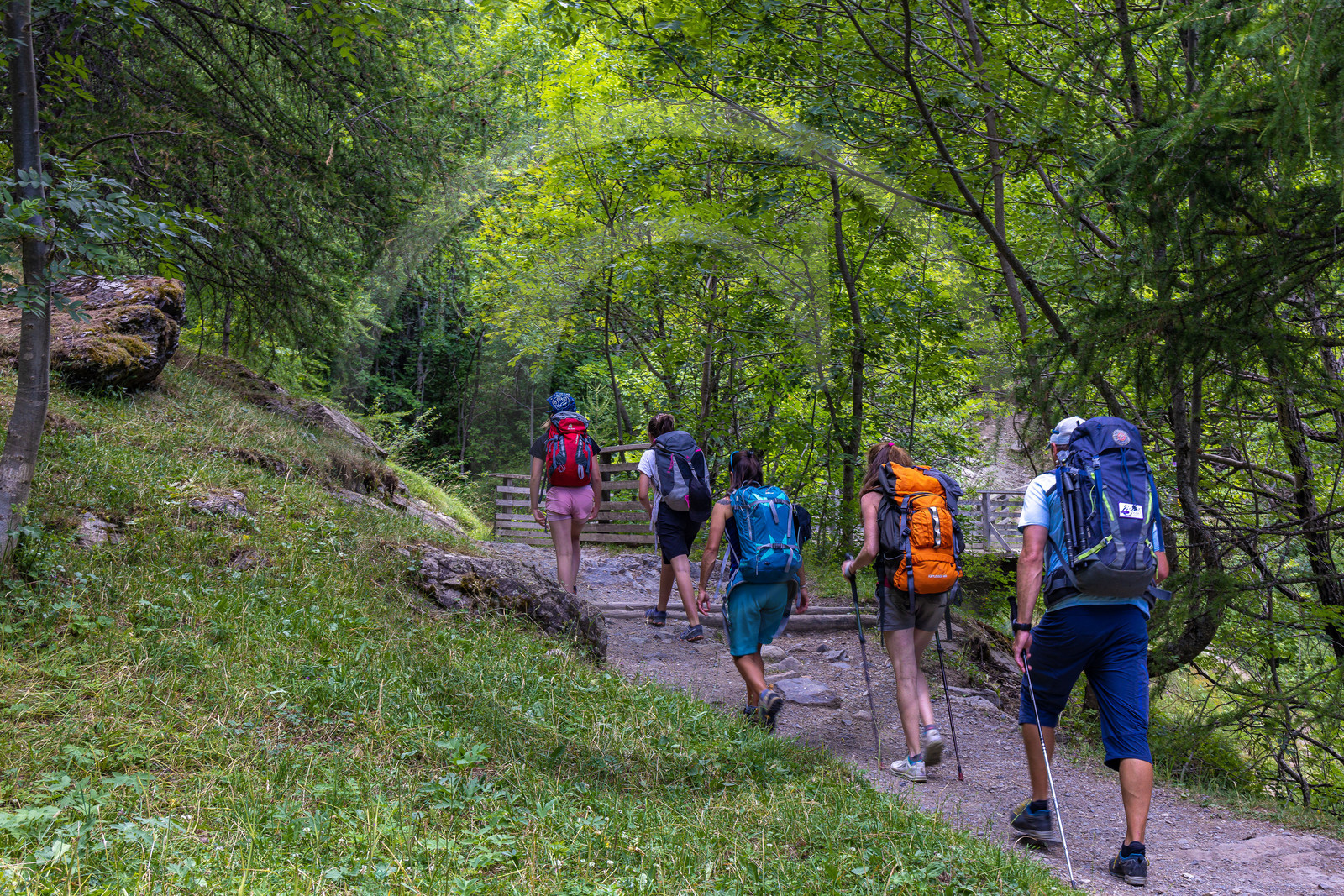Vallée de Freissinières