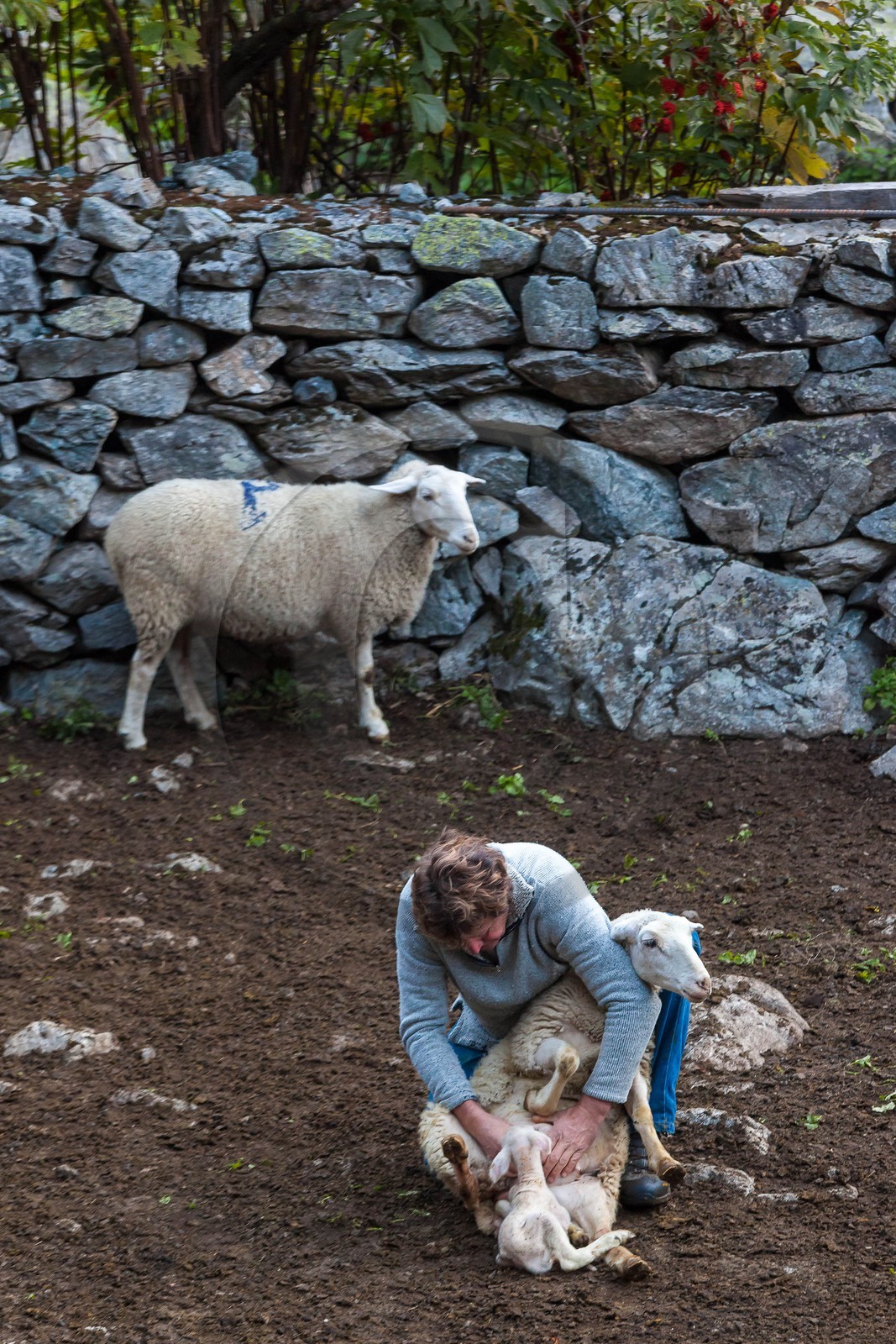 La Chapelle-en-Valgaudemar, désenmontagnage